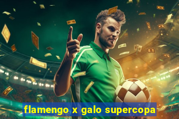 flamengo x galo supercopa