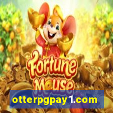 otterpgpay1.com