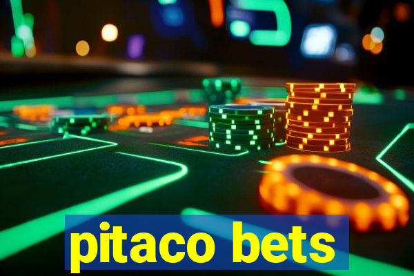 pitaco bets